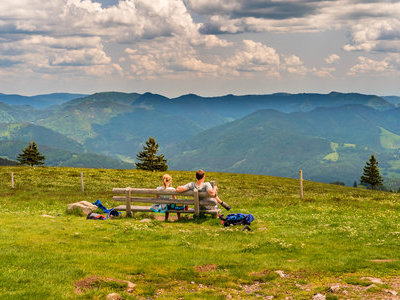 zum Pressebildarchiv ("Sommer in der Schwarzwaldregion Belchen") Beispielsbild aus der Kategorie "Sommer in der Schwarzwaldregion Belchen" unseres Pressebildarchivs