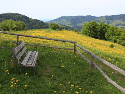 &copy; Werner Steiger