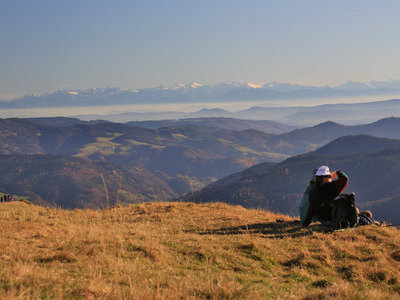 &copy; Werner Steiger