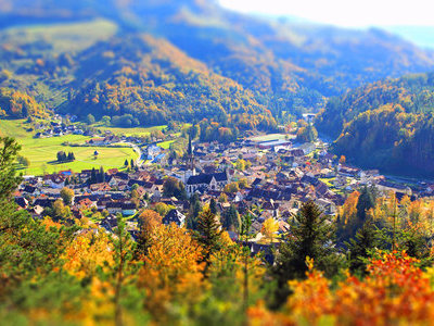 zum Pressebildarchiv ("Herbst in der Schwarzwaldregion Belchen") Beispielsbild aus der Kategorie "Herbst in der Schwarzwaldregion Belchen" unseres Pressebildarchivs