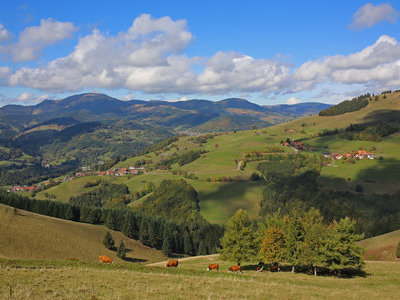 &copy; Werner Steiger