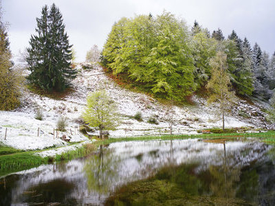 &copy; Werner Steiger