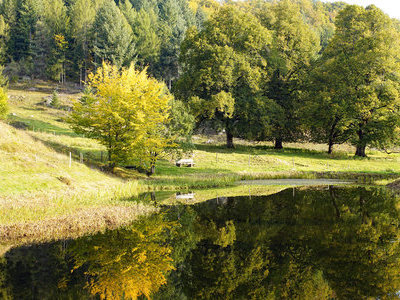 &copy; Werner Steiger