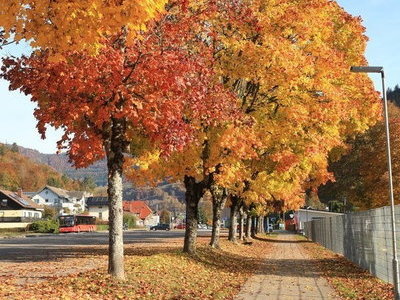 &copy; Werner Steiger