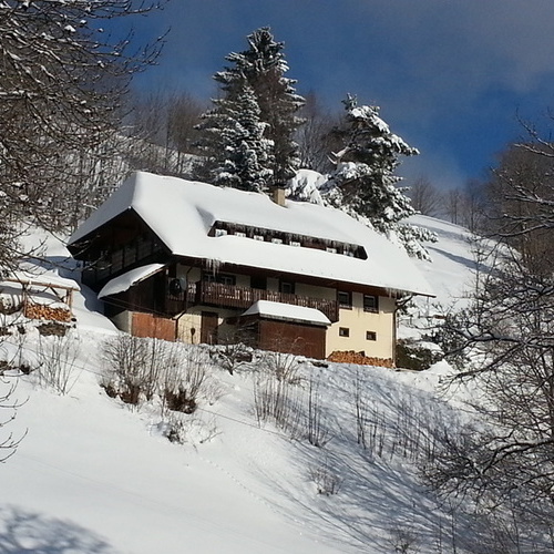 Das Haus im Winter - 
