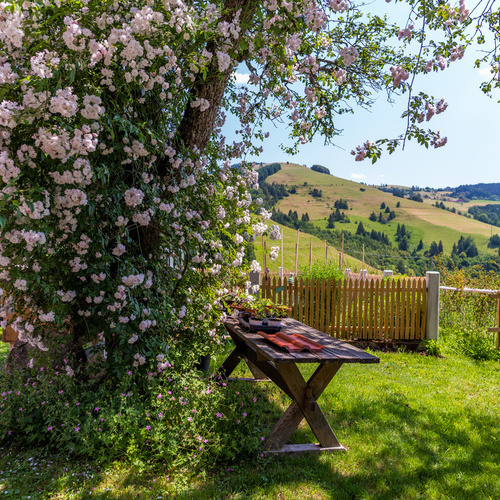 Gartentisch unter einem bl&uuml;hendem Baum mit Blick auf die umliegenden gr&uuml;nen Wiesen und W&auml;lder - 