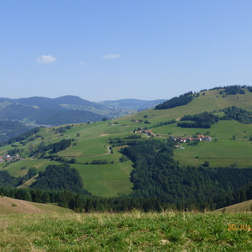 Blick auf die grünen Sommerwiesen und Wälder von Fröhnd - Blick auf die grünen Sommerwiesen und Wälder von Fröhnd -