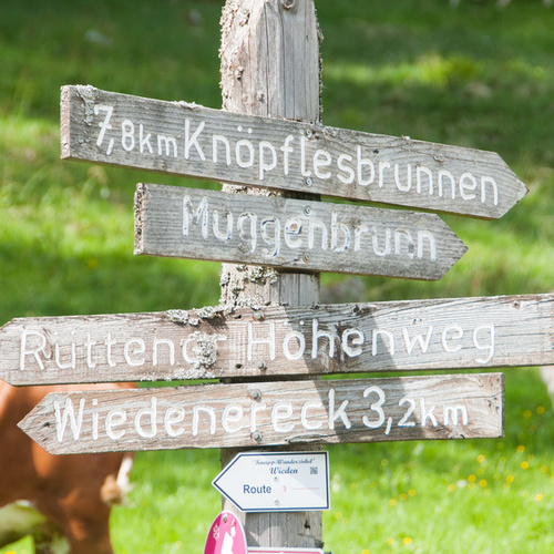 Wegweiser beim Fangkoppel/Ungendwieden - Wegweiser beim Fangkoppel/Ungendwieden -