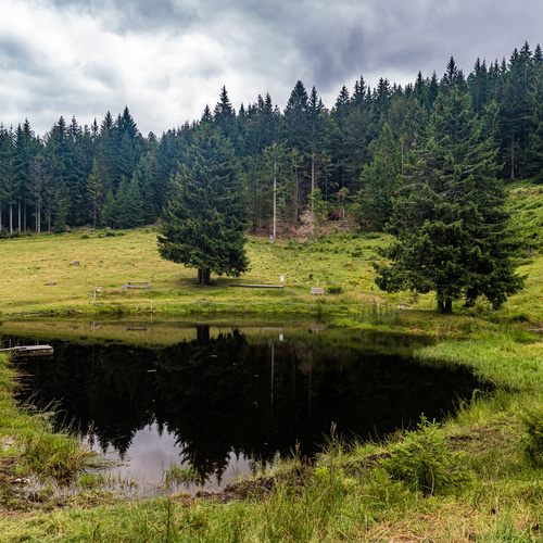 nahegelegener Weiher - nahegelegener Weiher -