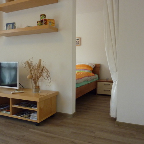 Wohnzimmer mit Blick ins Schlafzimmer - 