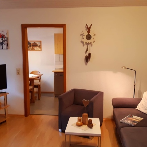 neu möbiliertes Wohnzimmer mit bequemer Couch und Sessel - neu möbiliertes Wohnzimmer mit bequemer Couch und Sessel -