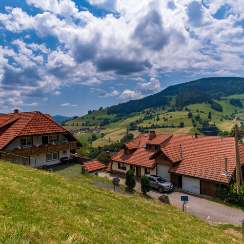 Das Haus Alpensicht im Hintergrund die Berglandschaft mit grünen Wiesen und Wäldern - Das Haus Alpensicht im Hintergrund die Berglandschaft mit grünen Wiesen und Wäldern -