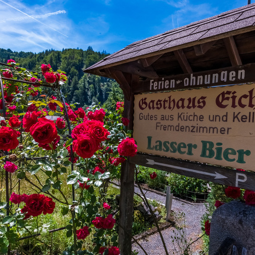 Hinweisschild aus Holz zum Haus Eiche daneben ein roter Rosenstrauch - Hinweisschild aus Holz zum Haus Eiche daneben ein roter Rosenstrauch -