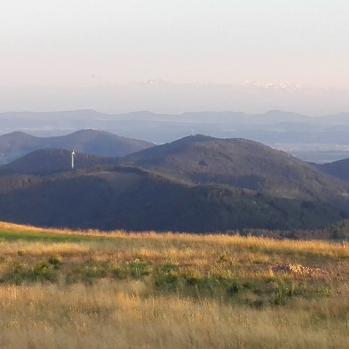 Aussicht vom Belchen mit Alpen im Hintergrund - Aussicht vom Belchen mit Alpen im Hintergrund -