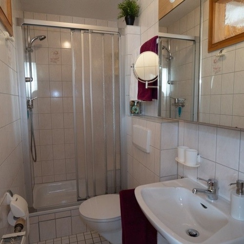 Badezimmer mit Dusche, WC und Waschbecken - Badezimmer mit Dusche, WC und Waschbecken -