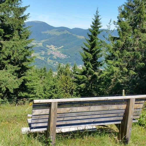 Blick auf Sch&ouml;nenberg - 