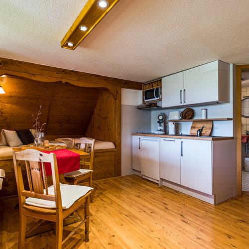 Ferienwohnung Kornblume 1- 2 Personen - gut ausgestatte K&uuml;chenzeile mit Sp&uuml;lmaschine, kein Backofen aber Mikrowelle mit Grillfunktion