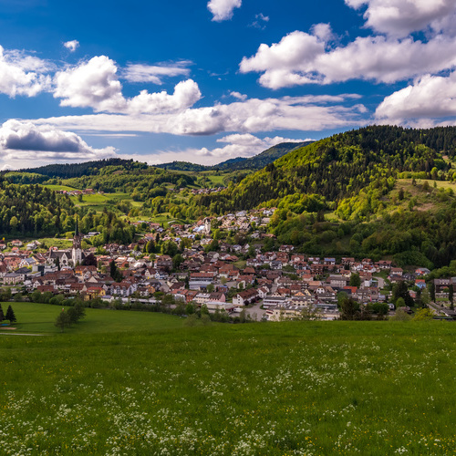 Blick über Schönau - Blick über Schönau -