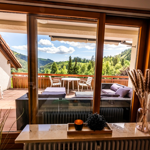 Blick auf die Terrasse - 