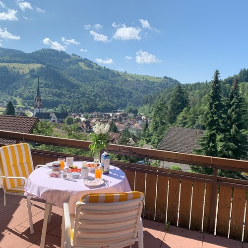 Blick vom Fr&uuml;hst&uuml;ckstisch von der Terrasse auf Sch&ouml;nau und die umliegenden W&auml;lder  - 