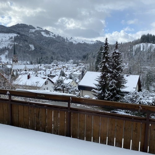 Blick von der Terrasse auf die verschneite Landschaft und Sch&ouml;nau  - 