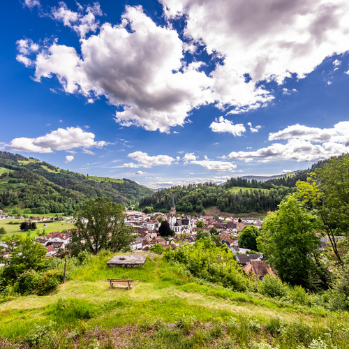 Blick vom ehem. Schlageter denkmal auf Sch&ouml;nau - 
