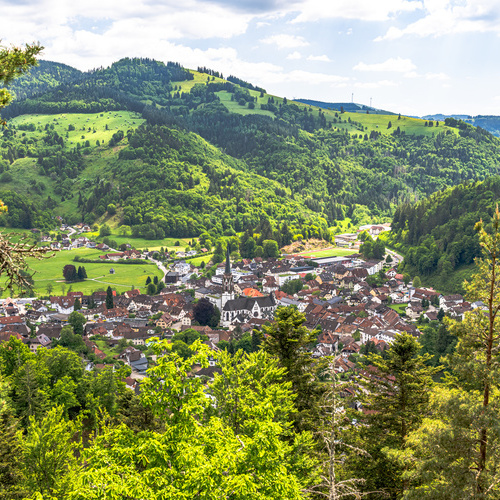 Der Hassler Felsen, ein Aussichtpunkt oberhalb von Sch&ouml;nau, befindet sich nur wenige Gehminuten von unserer Ferienwohnung entfernt. - 
