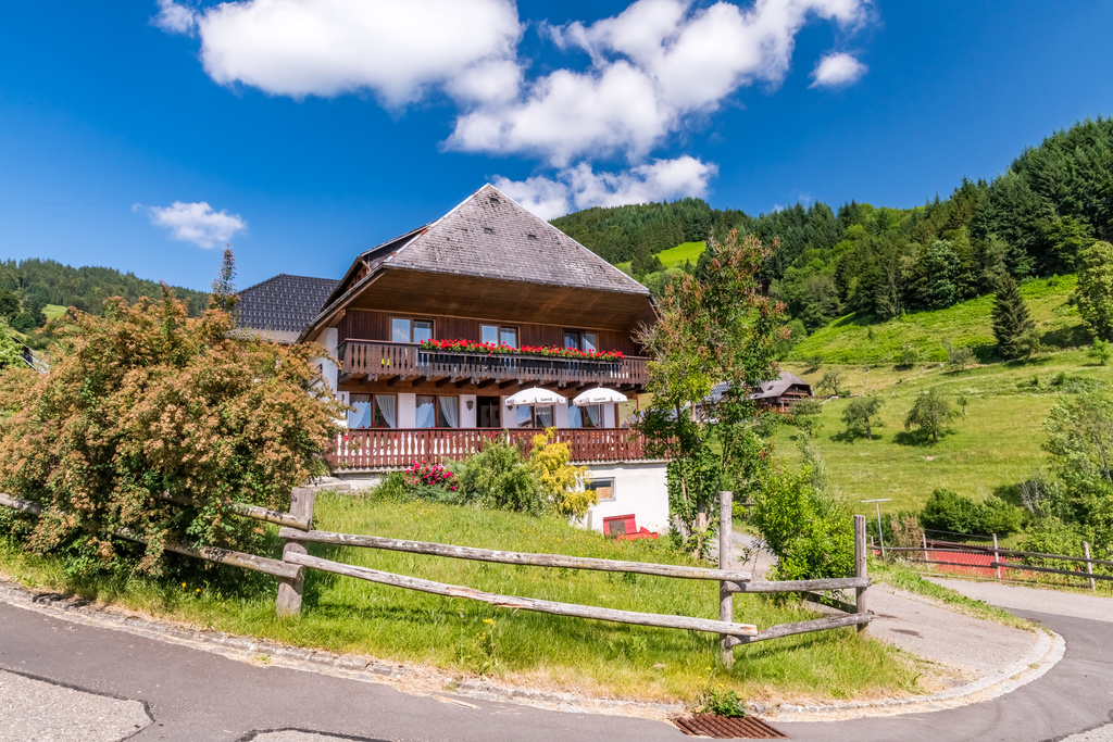 Gasthaus Auerhahn Gasthaus Auerhahn